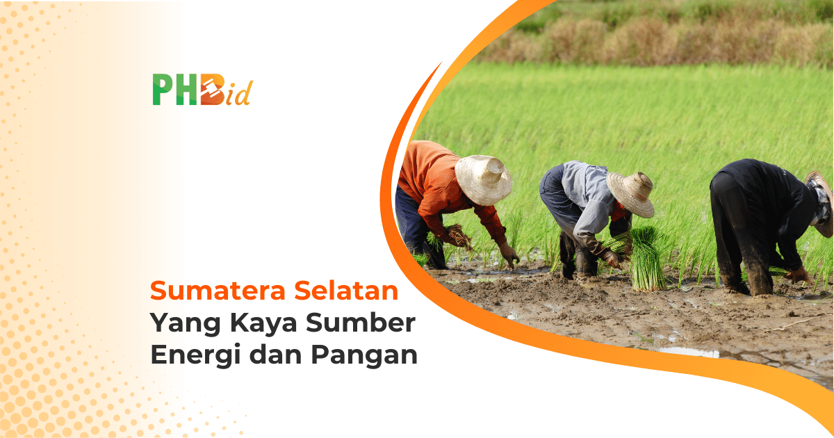 SUMATERA SELATAN YANG KAYA SUMBER ENERGI DAN PANGAN