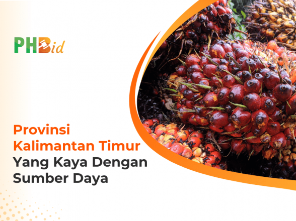 PROVINSI KALIMANTAN TIMUR YANG KAYA DENGAN SUMBER DAYA