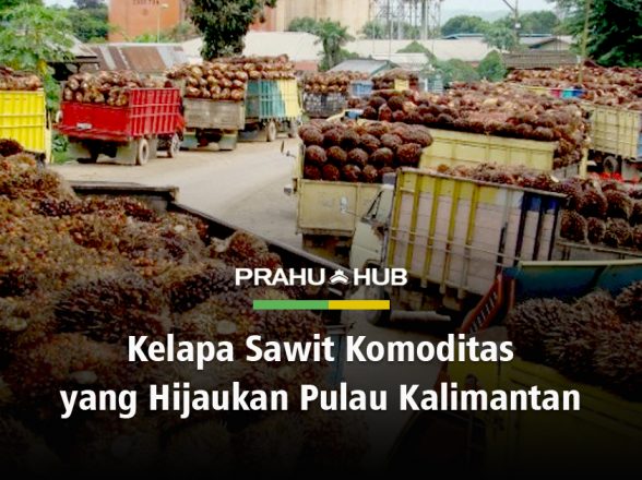 KELAPA SAWIT KOMODITAS YANG HIJAUKAN PULAU KALIMANTAN