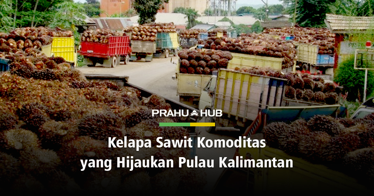 Terbesar indonesia di pulau terdapat sawit kelapa perkebunan di Indonesia Jadi