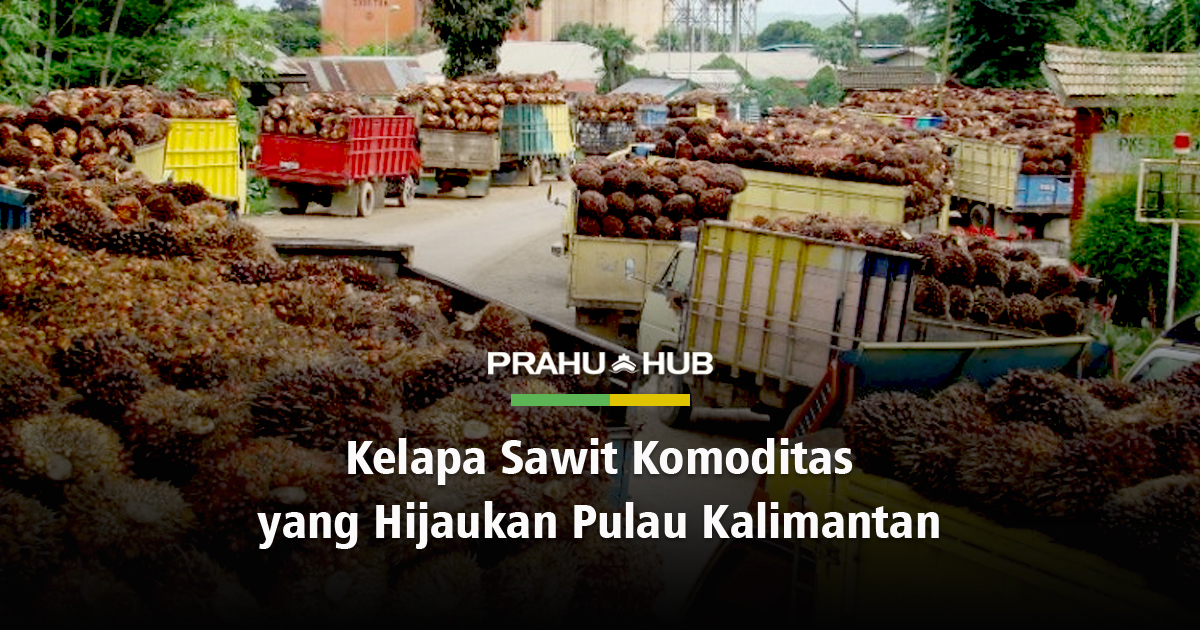 KELAPA SAWIT KOMODITAS YANG HIJAUKAN PULAU KALIMANTAN