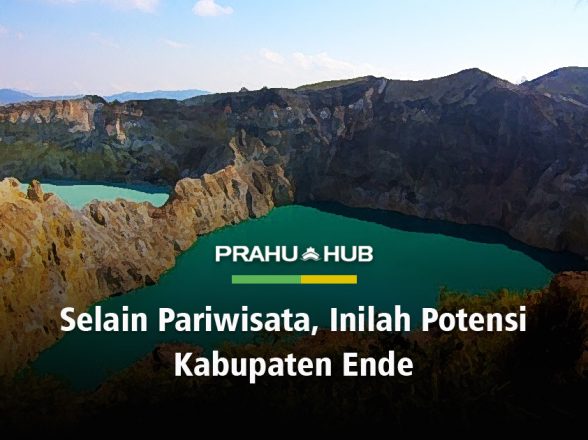 SELAIN PARIWISATA, INILAH POTENSI KABUPATEN ENDE