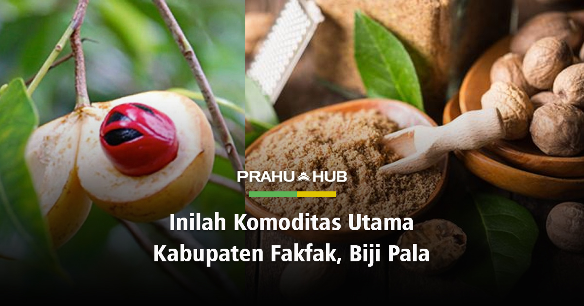 INILAH KOMODITAS UTAMA KABUPATEN FAKFAK, BIJI PALA