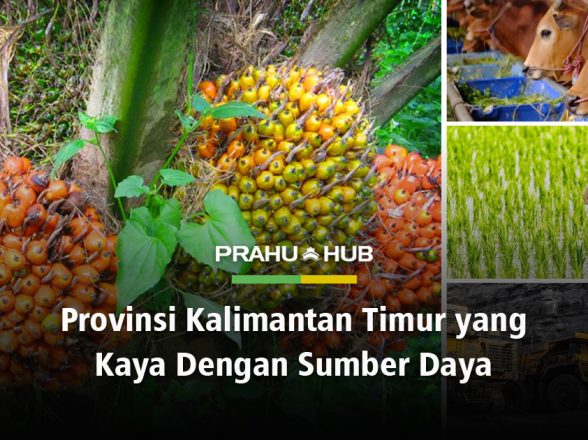 PROVINSI KALIMANTAN TIMUR YANG KAYA DENGAN SUMBER DAYA