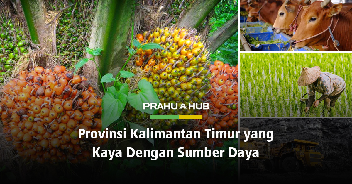 Sebutkan 3 contoh hasil perkebunan dan sebutkan pula manfaatnya