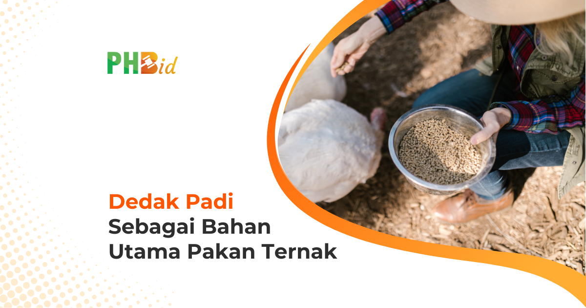 DEDAK PADI SEBAGAI BAHAN UTAMA PAKAN TERNAK