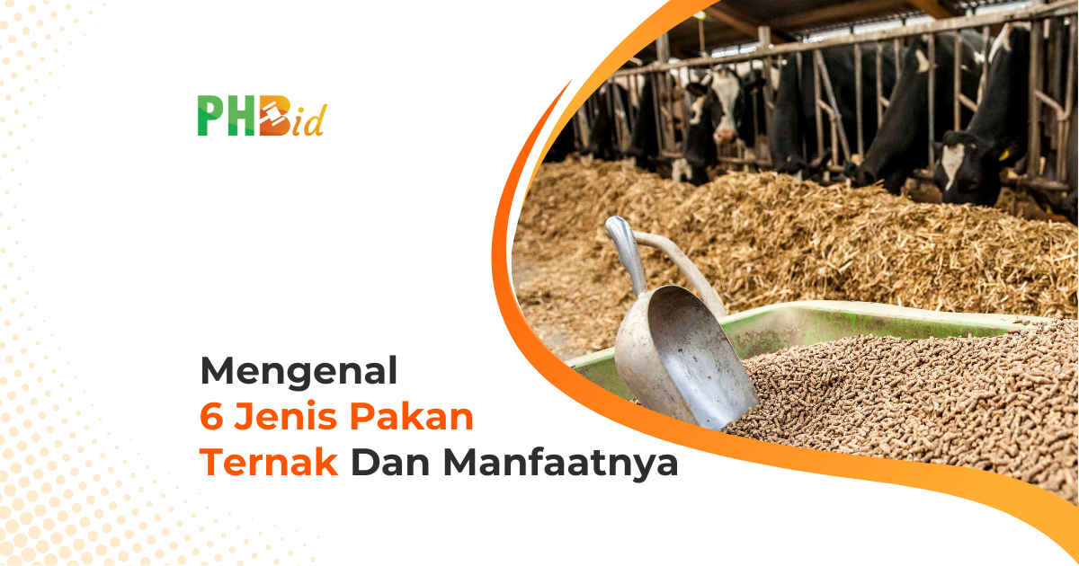 MENGENAL 6 JENIS PAKAN TERNAK DAN MANFAATNYA