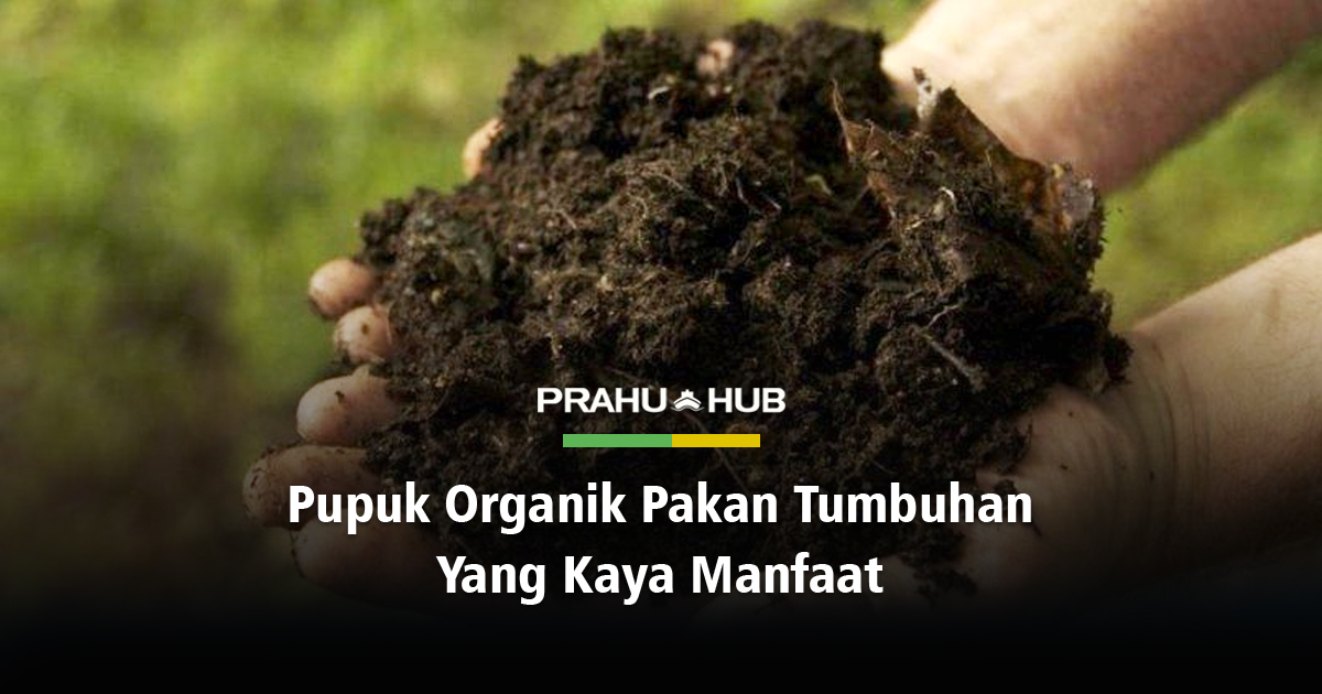 PUPUK ORGANIK PAKAN TUMBUHAN YANG KAYA MANFAAT